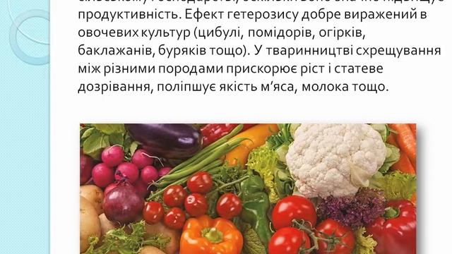 Orishechok АУТБРИДІНГ смотреть онлайн
