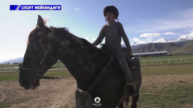 Манас Ниязовдун жаңы аргымагы “ШТОРМ” Бойка кайда? смотреть онлайн