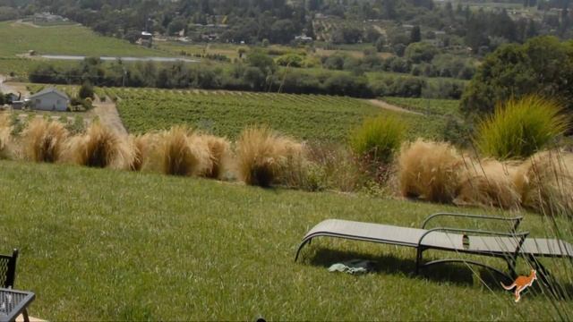 Stunning Sustainable Landscaping: World's First LEED Home - buildaroo.com смотреть онлайн