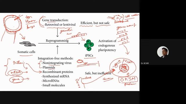 SCB BioE 18 Methods for reprogramming, PTD, Small molecules 2021 10 01 at 01 36 GMT 7 смотреть онлайн
