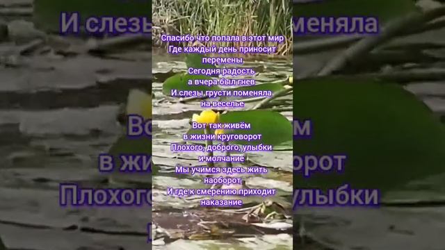 испытания и трудности делают нас сильнее смотреть онлайн