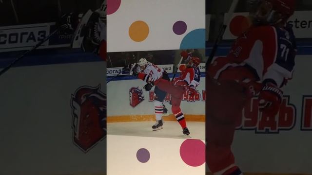 Выставка "Суровый лед" смотреть онлайн