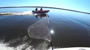 Рыбалка по взрослому,Много рыбы и куча эмоций.