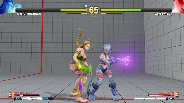 SF5 CE PC MODS - FURRY FALKE vs FEMALE VEGA - STREET FIGHTER V CE смотреть онлайн