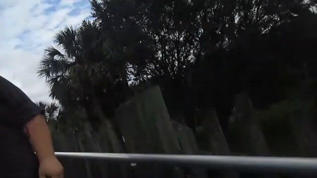 Part One of Our Jacksonville Zoo Adventure: We try something New! смотреть онлайн