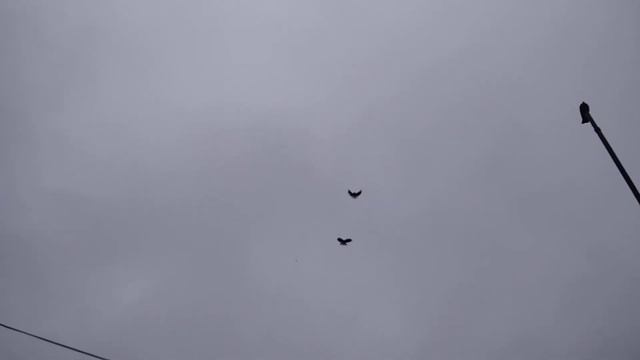 У Паши Баутина смотреть онлайн