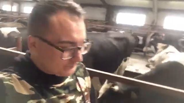Проведение опыта в Агрофирме "Колос" смотреть онлайн