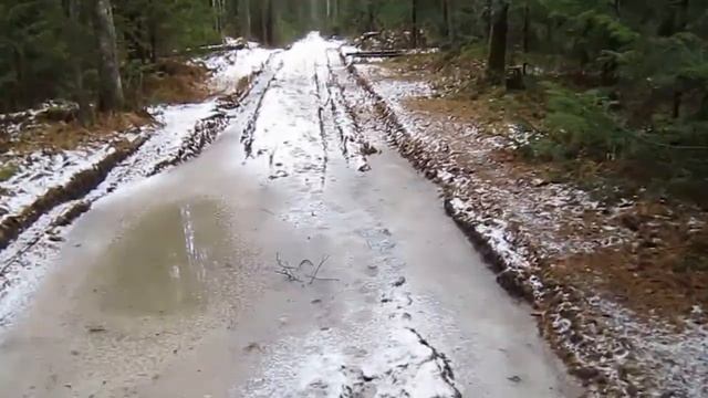 Уральский лес смотреть онлайн