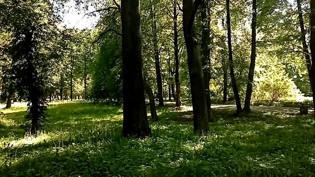 ЦПКиО им С М Кирова на Елагином острове. смотреть онлайн