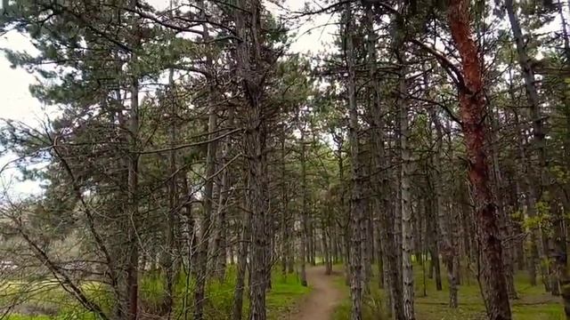 люблю апрель за красоту природы 26.4.21год смотреть онлайн