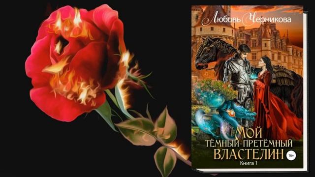 Мой Темный-претемный властелин. Книга 1 (Любовь Черникова) Аудиокнига смотреть онлайн