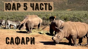 Южная Африка. 5 часть. Сафари.