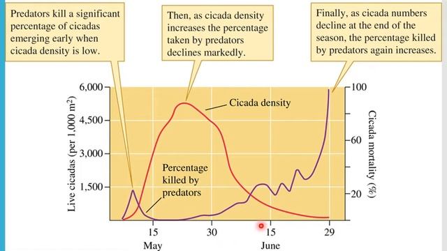 Refuges from Predators and Complex Exploitative Interactions смотреть онлайн