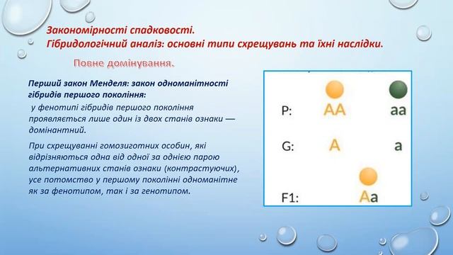 закономірності спадковості смотреть онлайн