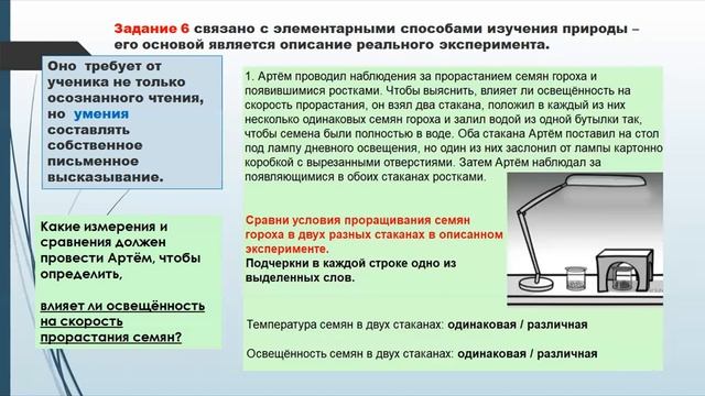 Бесплатное занятие ВПР окружающий мир смотреть онлайн