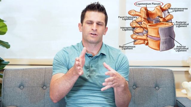 Ligamentum Flavum смотреть онлайн