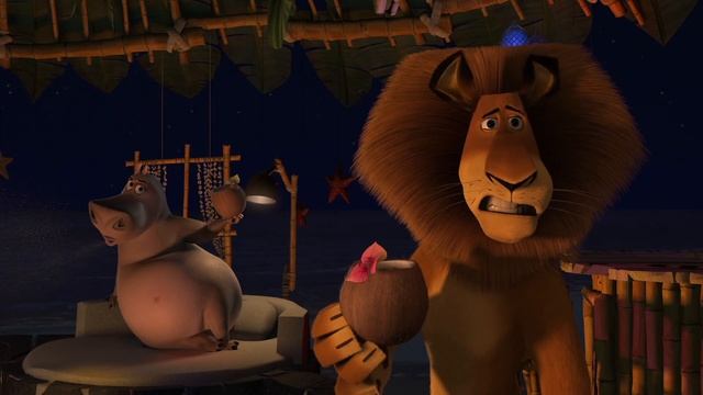 Водоросли на палочке - Мадагаскар для ВП смотреть онлайн