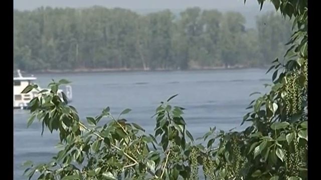 Нас ожидают дожди и грозы смотреть онлайн