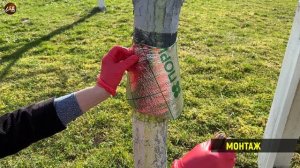 ЛОВЧИЙ ПОЯС защитный своими руками от МУРАВЬЁВ и ТЛИ