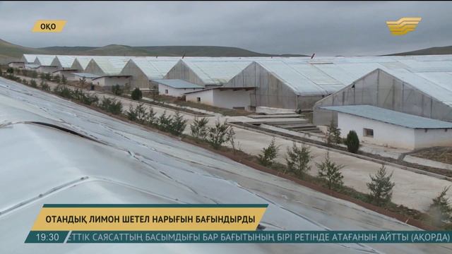 Отандық лимон шетел нарығын бағындырды смотреть онлайн