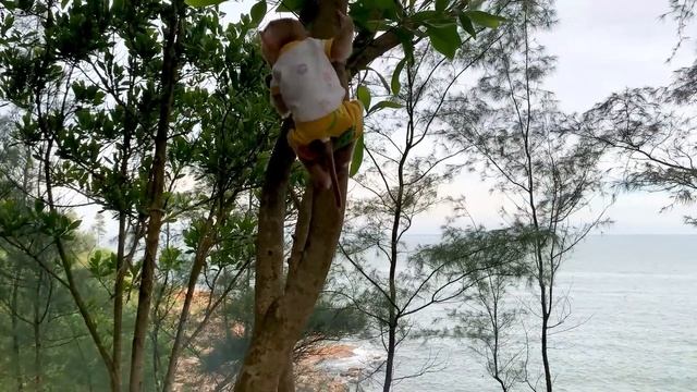 Monkey Puka family has a fun camping trip with PuPu Monkey family смотреть онлайн