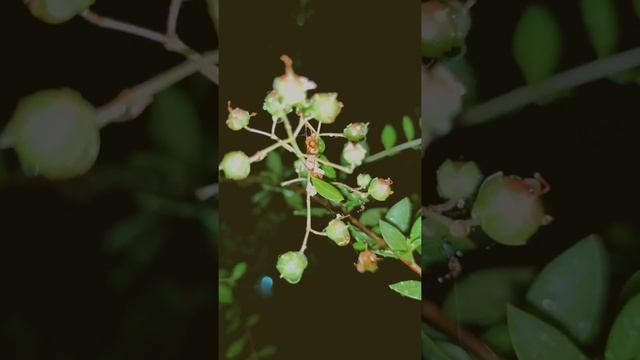 rainy season смотреть онлайн