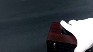 Ritmix RPR  088 внешний вид