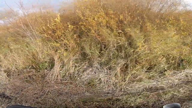 Прохват квадроцикл Hisun и Polaris по бобровой тропе смотреть онлайн