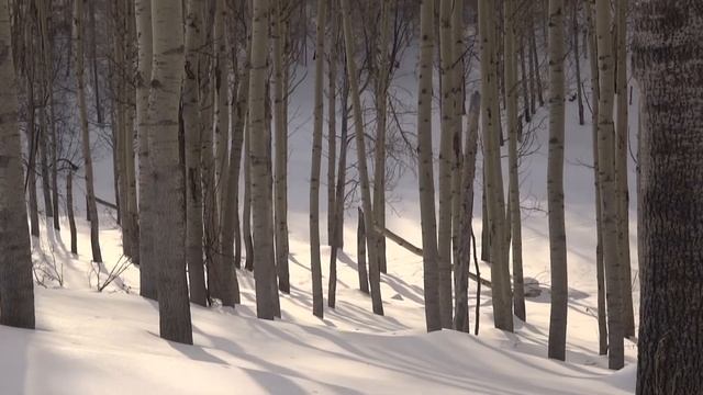Gornaya Ulbinka 2017 смотреть онлайн