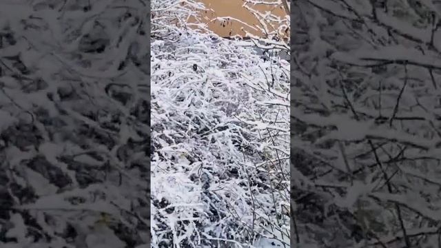 Без слов... смотреть онлайн