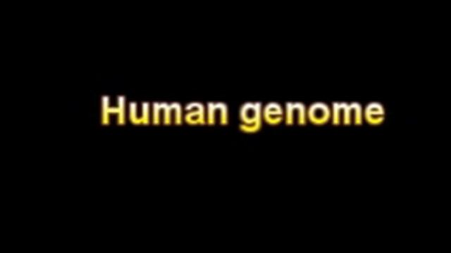 What Is The Definition Of Human genome - Medical Dictionary Free Online Terms смотреть онлайн