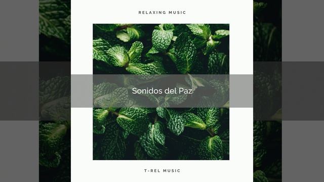Sonidos Calmante del Bosque y el Mar Azul pt. 1 смотреть онлайн