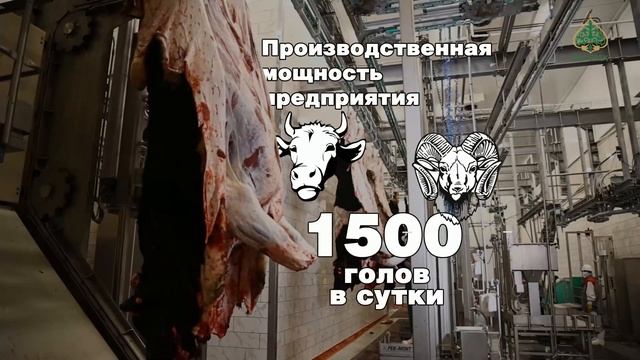История успеха. Как холдинг «Байтерек» поддержал мясоперерабатывающий комплекс смотреть онлайн
