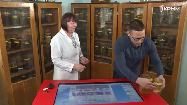Доктор Левин смотреть онлайн