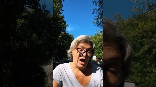 Кеннет Грэм. Ветер в ивах. 2. На широкой дороге смотреть онлайн
