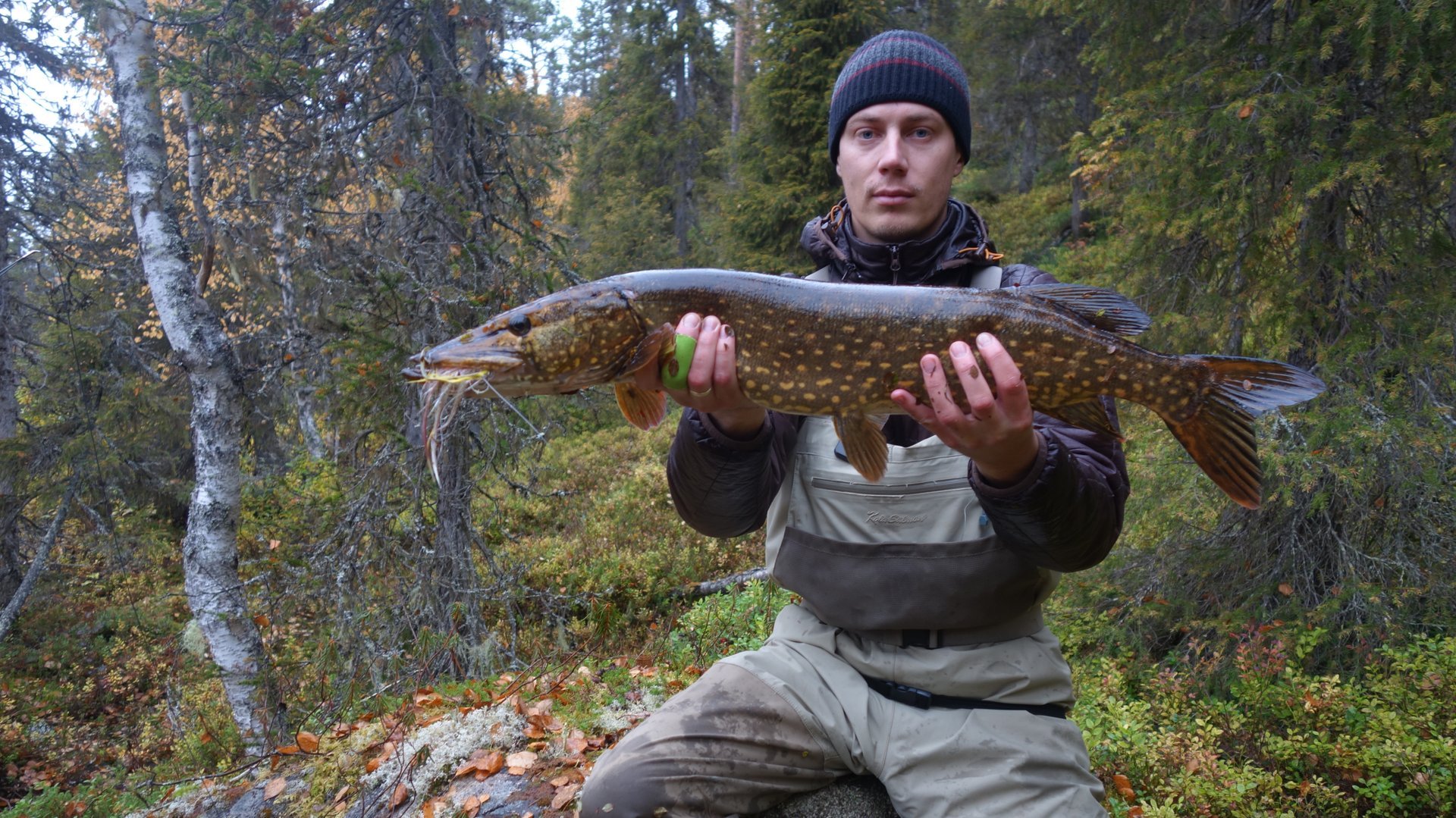 Нахлыст & Тенкара . Карелия 2016 смотреть онлайн