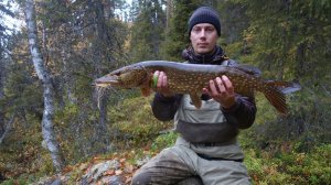 Нахлыст &  Тенкара . Карелия 2016