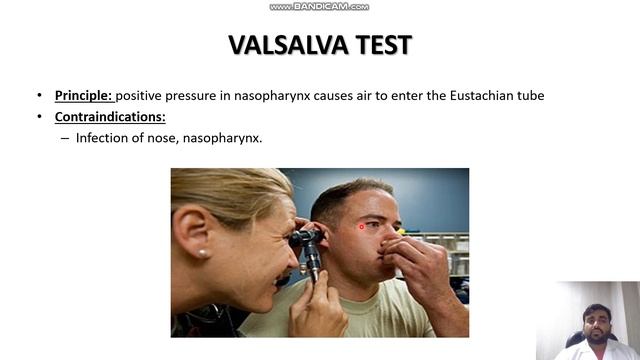 Anatomy of eustachian tube смотреть онлайн