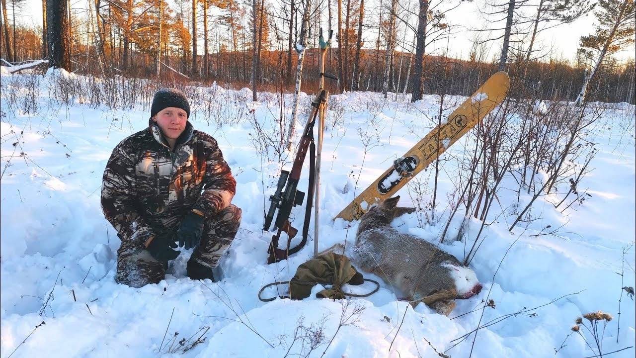 ОХОТА НА СИБИРСКУЮ КОСУЛЮ С ПОДХОДА. смотреть онлайн