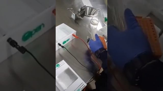 DIY electrophoresis смотреть онлайн