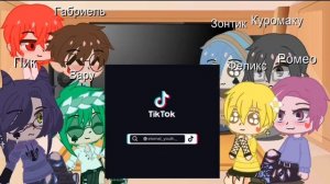 Реакция 13 карт на дружбу Вару и Габри