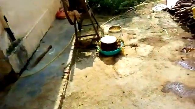 Индия, Ришикеш. Путь из отеля в столовую смотреть онлайн