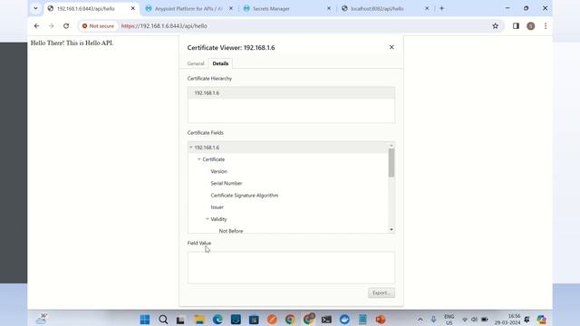 Flex Gateway Part VI -Config Outbound TLS Context for Flex Gateway deployed on Docker- Connectd Mod смотреть онлайн
