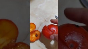 Дегустация хурмы сорта Колгоспна селекции Василия Николаевича Деревянко.г. Николаев.