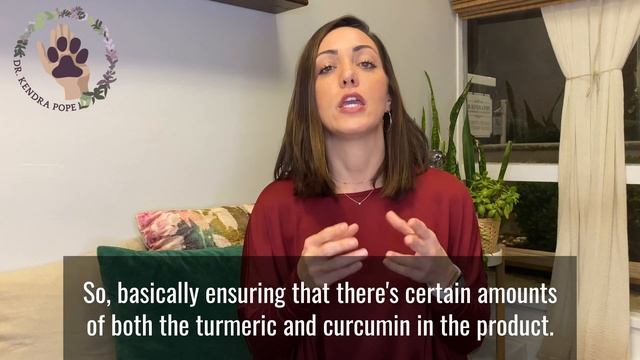 What Is the Best Way for Turmeric or Curcumin to Be Given to My Pet? смотреть онлайн