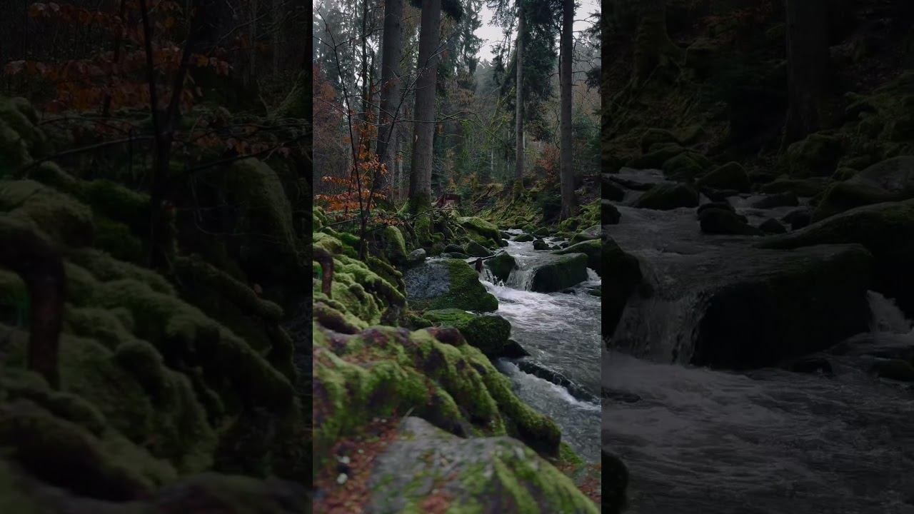 а потому, что делаете что-то правильно. ✅ #цитаты #мудрыеслова #философия смотреть онлайн