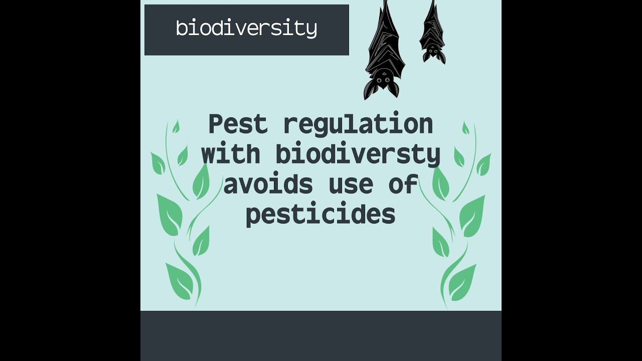 Biodiversity impacts on agriculture смотреть онлайн