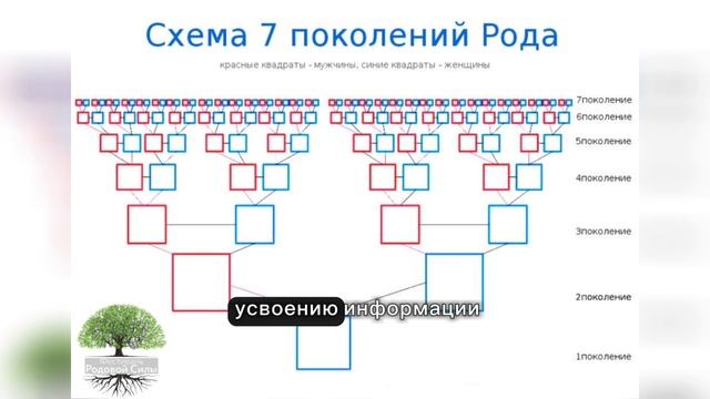 Род и индивидуальность: Как наша генетика формирует наше поведение и личностные черты смотреть онлайн