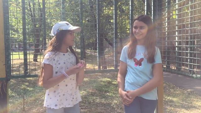 Фото со странными предметами ЧЕЛЛЕНДЖ смотреть онлайн