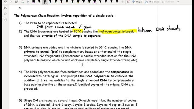 CCEA Biology A2 Unit 2: Gene Technology 1: PCR, Probes, Genetic Fingerprinting, Gel Electrophoresis смотреть онлайн